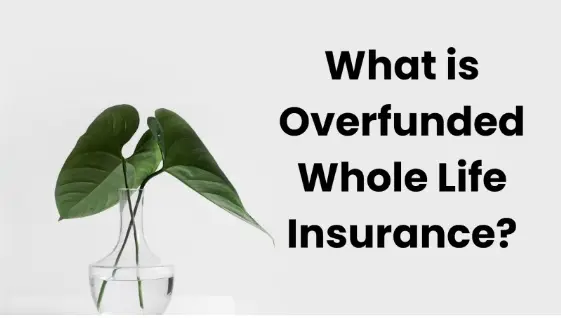 Overfunded Life Insurance:
